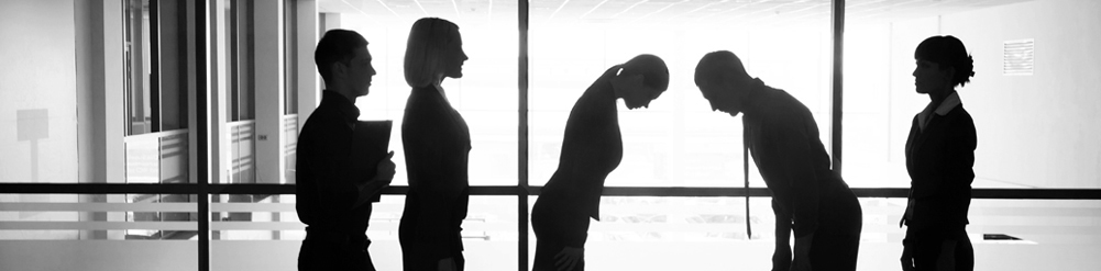 Professional Chauffeur Services